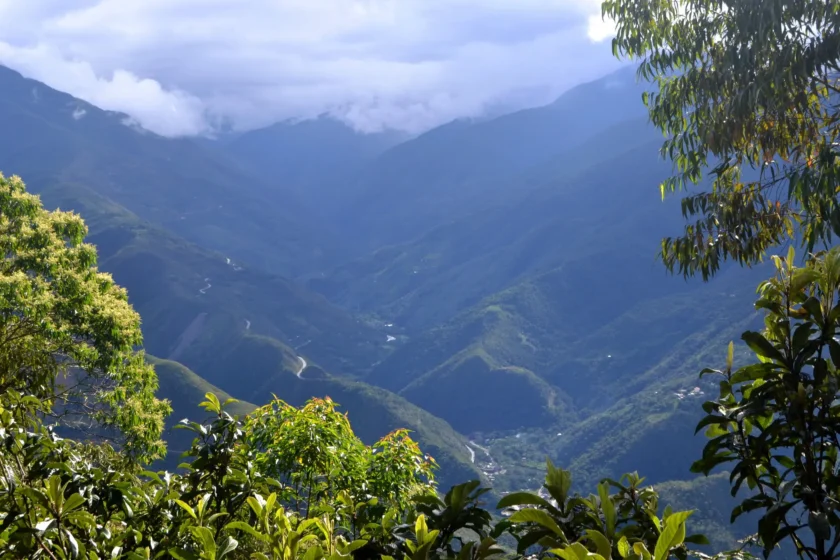 Los yungas chamanica
