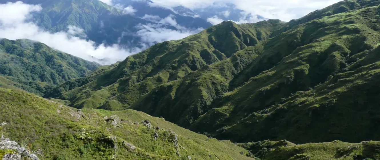 Yungas coroico