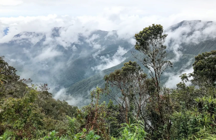 Coroico Bolivia Yungas