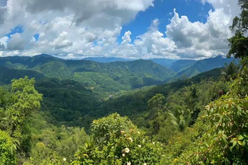 Yungas Coroico