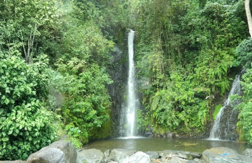 Cascadas Coroico